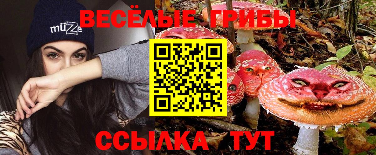 Псилоцибиновые грибы MAGIC MUSHROOMS Павлово