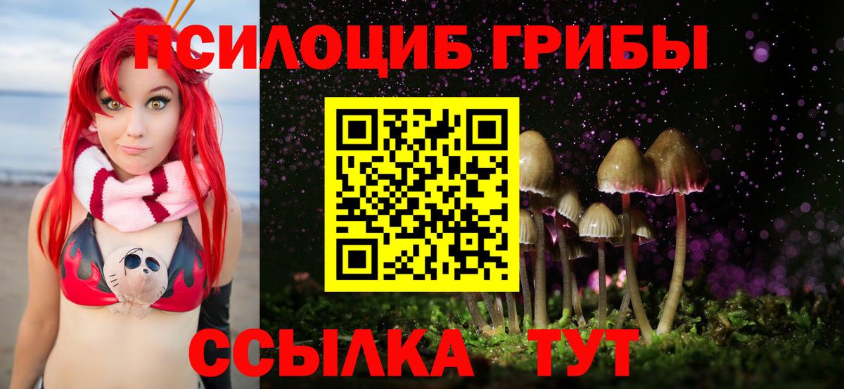 Павлово  Галлюциногенные грибы мицелий  Вход с VPN 